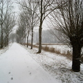 170211-PK-winterlandschap in Heeswijk-_6_ _Large_.JPG